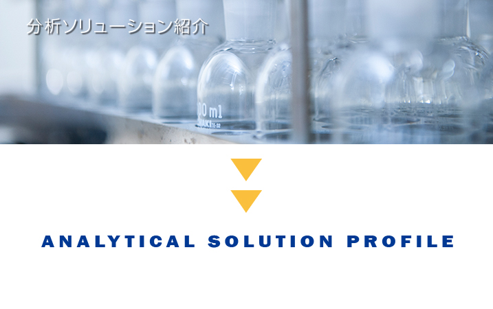 ANALYTICAL SOLUTION PROFILE