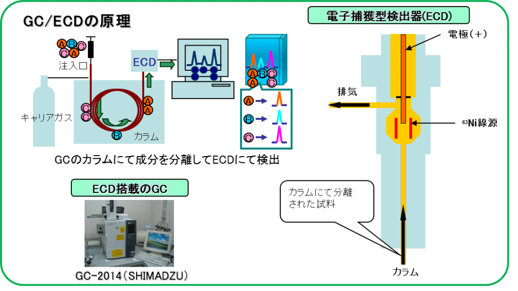 GC-ECDnogenri