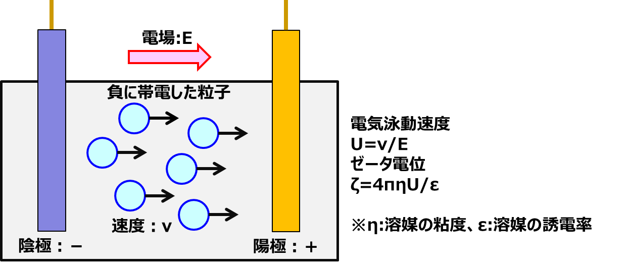 ゼータ 電位