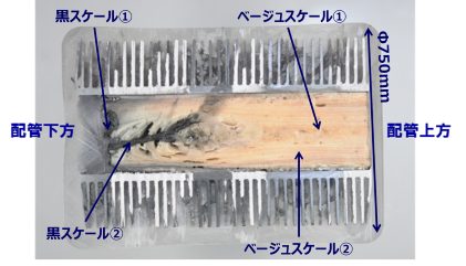 Fig.1　配管垂直カットサンプル
