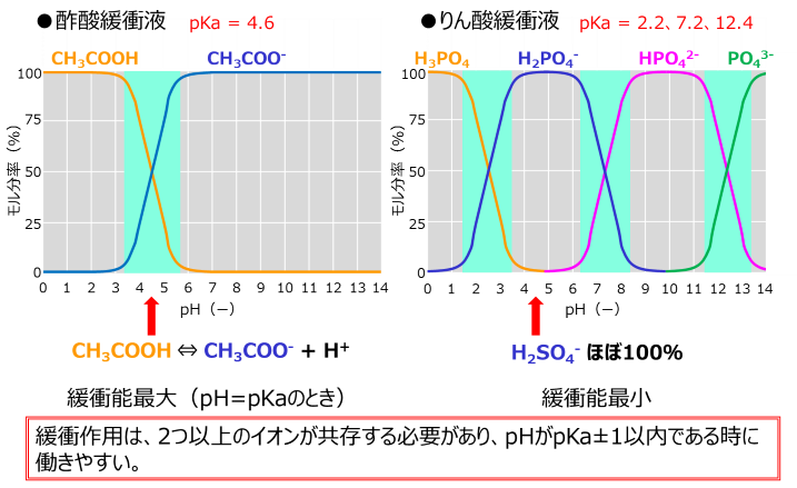 緩衝液の注意点