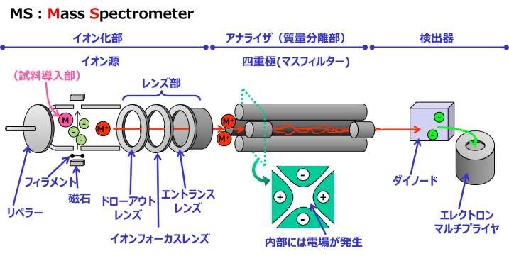 質量分析計 (MS) とは