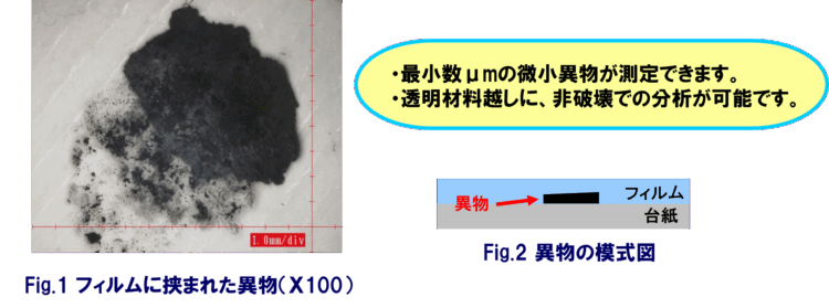 フィルムにh差まれた異物・異物の模式図