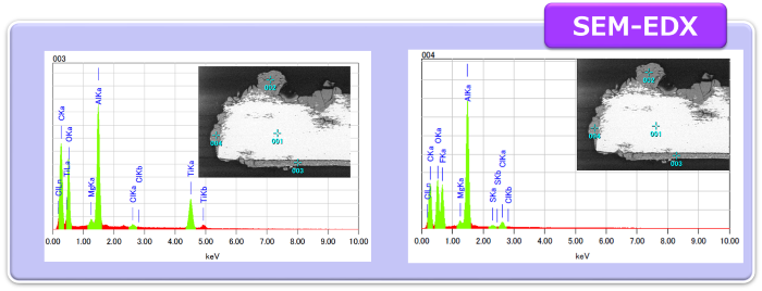Fig.4 SEM-EDX