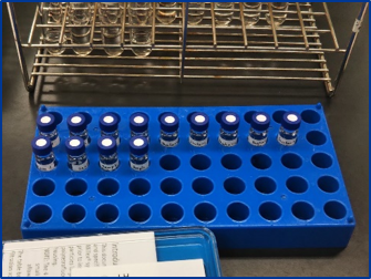 Sample in HPLC vials