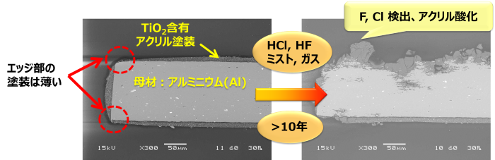 Fig.3 ブラインド断面のSEM画像