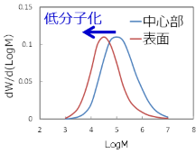 分子量分布測定